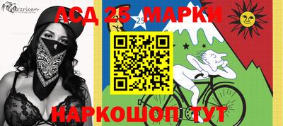 гашик Жуковский