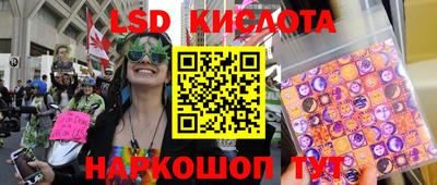 ГАЛЛЮЦИНОГЕННЫЕ ГРИБЫ Заволжье