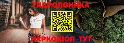 ГАЛЛЮЦИНОГЕННЫЕ ГРИБЫ Заволжье