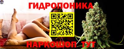 PSILOCYBIN Заводоуковск
