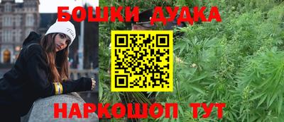 гашик Жуковский