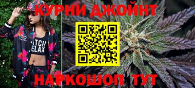 гашик Жуковский