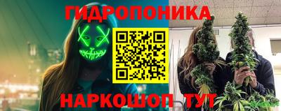 PSILOCYBIN Заводоуковск