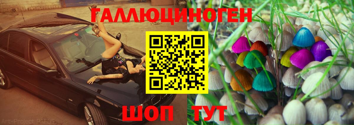 Псилоцибиновые грибы MAGIC MUSHROOMS  Галлюциногенные грибы мицелий  Лесной  Вход с VPN 