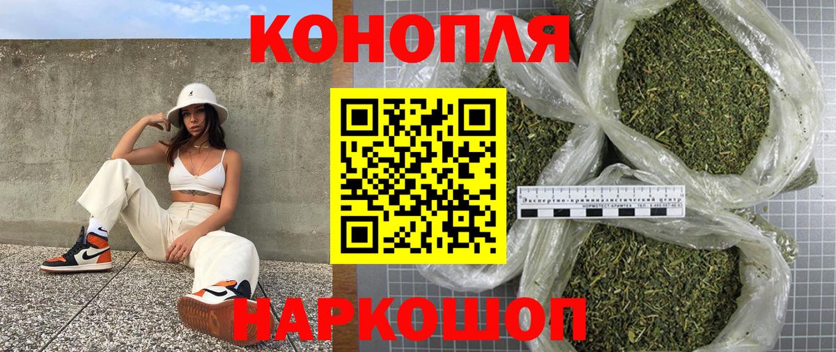 Марихуана сатива Лесной